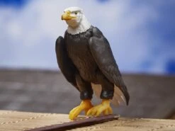 Hasbro G.I. Joe Classified Series Spirit Iron-Knife Action Figure 15 Hasbro G.I. Joe Classified Series Spirit Iron-Knife Action Figure -Model Figures Shop 5010993949519f